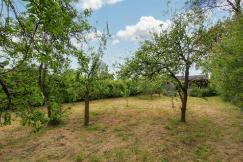 orchard
