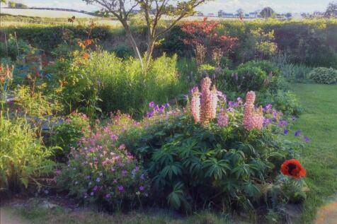 gardens
