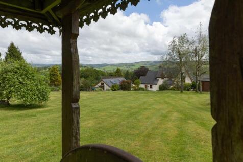 Rear gardens looking back to house