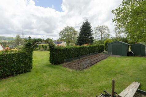 Rear gardens