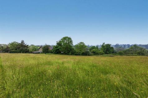Field views