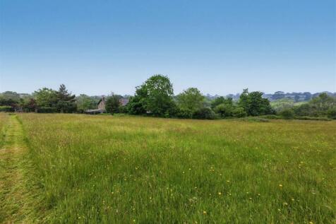 Field views