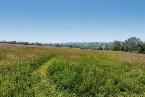 Field views