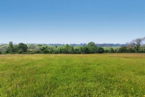 Field views