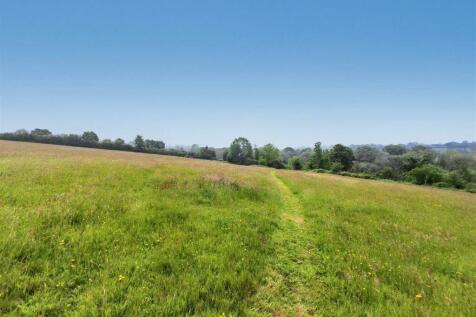 Field views