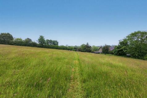 Field views