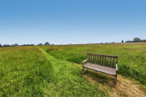 Field views
