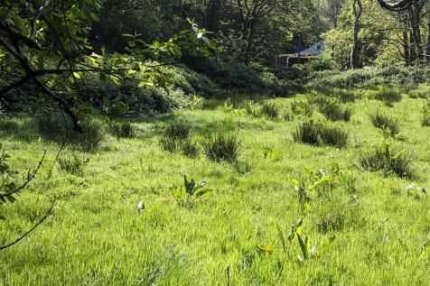 Dolau From the Valley Meadows.jpg