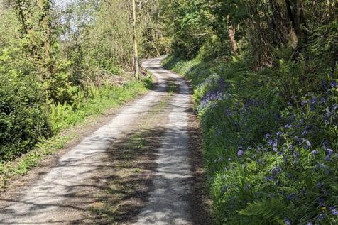 Pretty Lane to Cottage.jpg