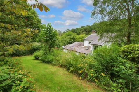 rear gardens