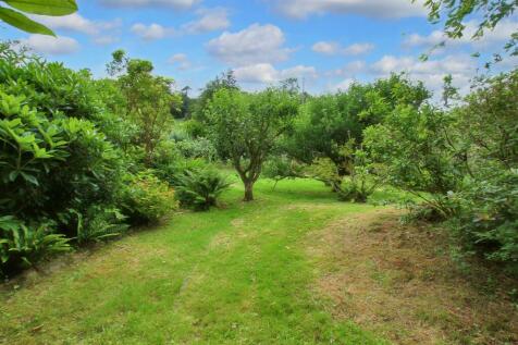 rear gardens