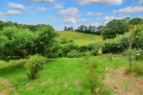 rear gardens