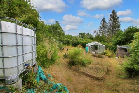 veg beds and green house