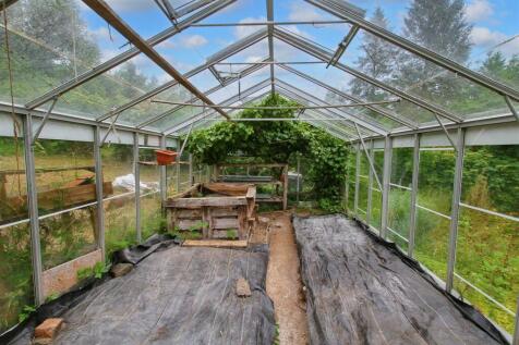 inside greenhouse