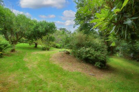 rear gardens