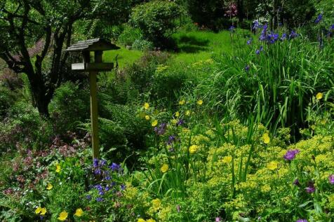 owner photo of garden in spring