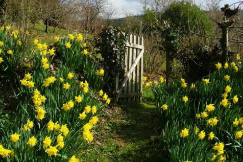 owner photo of garden in spring