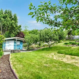 Rear Gardens