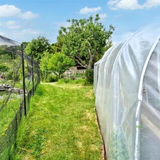 Veg Garden &amp; polytunnel