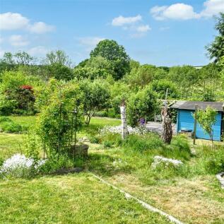 Rear Gardens
