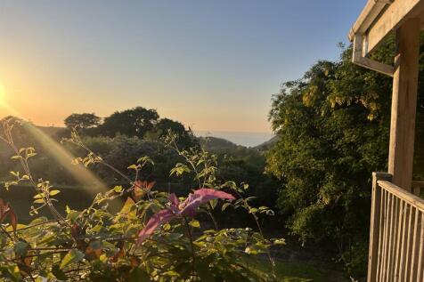 Sunset view
