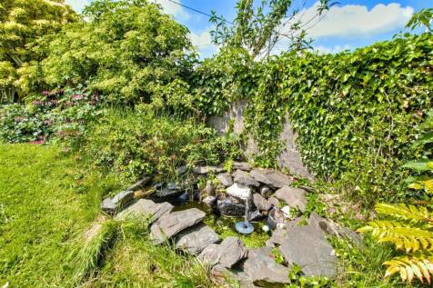 Pond