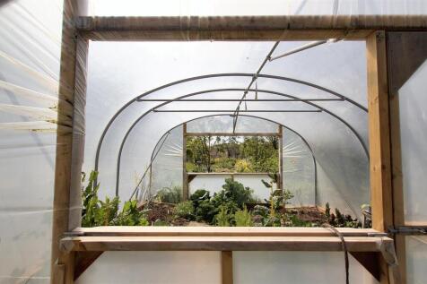 Polytunnel