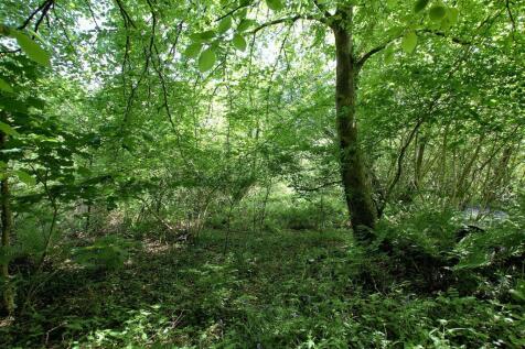 woodland