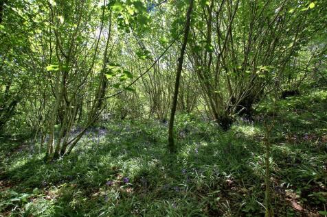 woodland