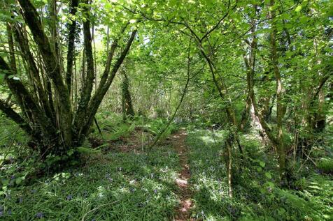 woodland