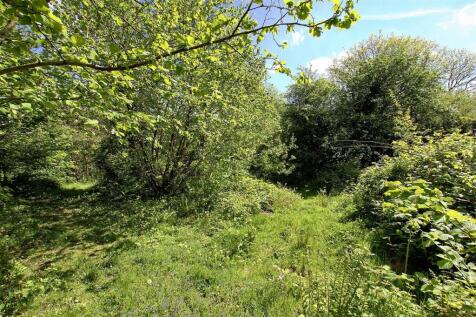 woodland
