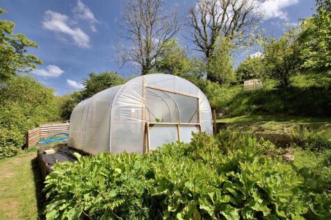 Polytunnel