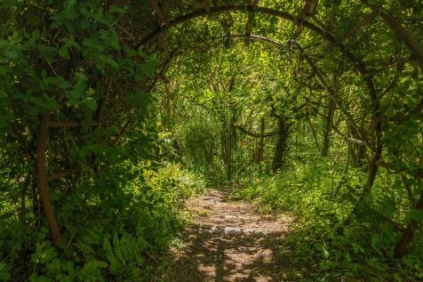 Woodlands