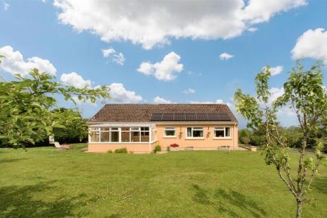 Gardens/Rear of Property