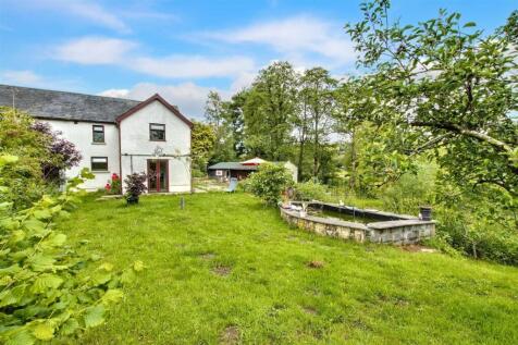 Rear Garden &amp; pond