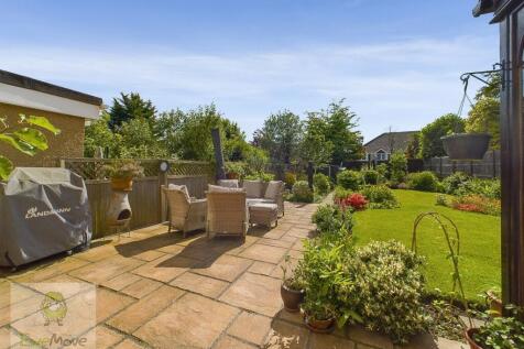 Back Garden