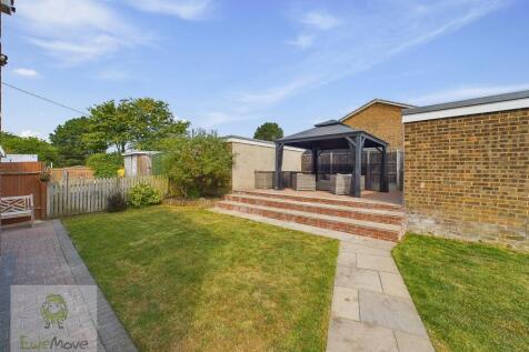 Back Garden
