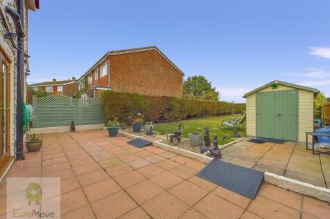 Back Garden