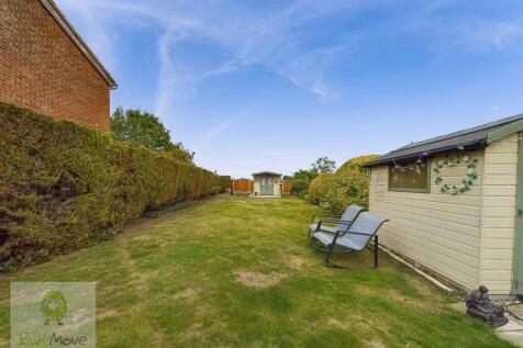 Back Garden