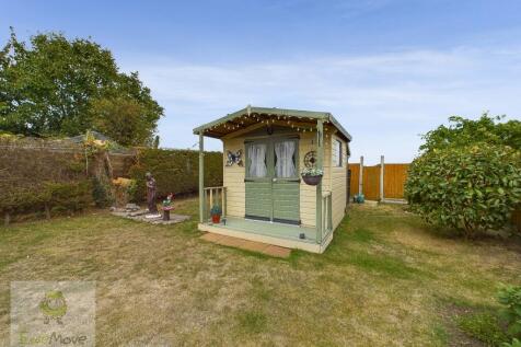 Back Garden