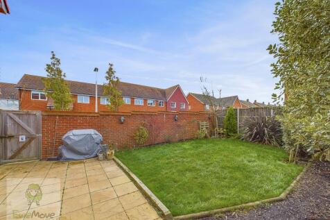 Back Garden
