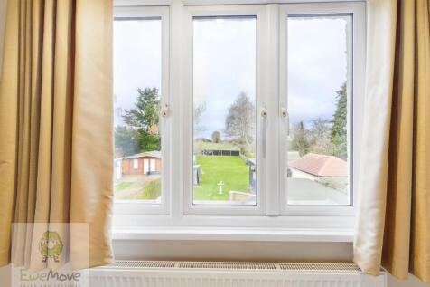 View From The Back Bedroom