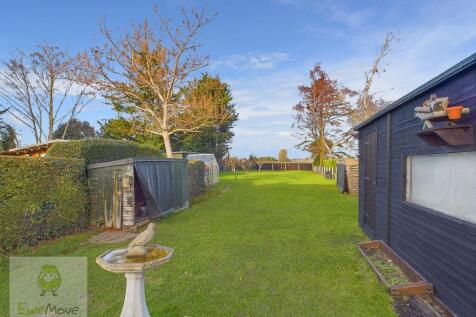 Back Garden