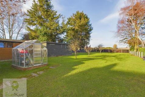 Back Garden