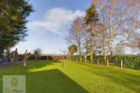Back Garden