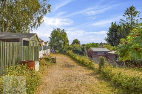 Back Garden