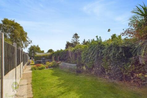 Back Garden