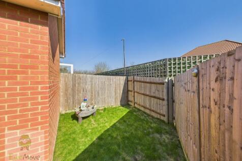 Back Garden