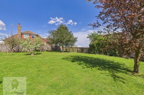 Back Garden