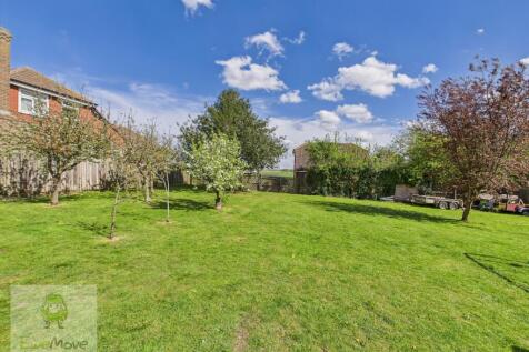 Back Garden